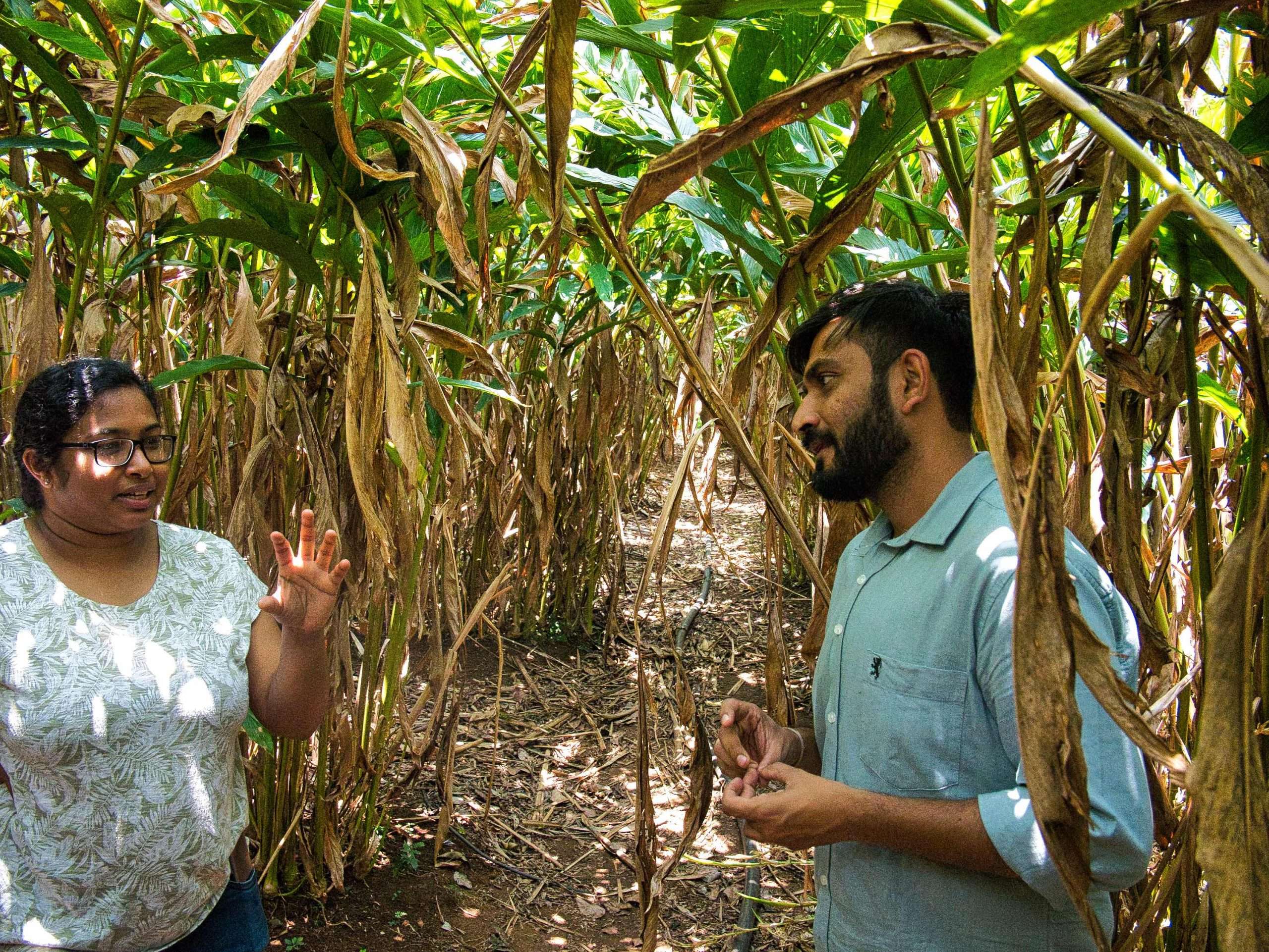 Annu + Bhavesh explaining_web