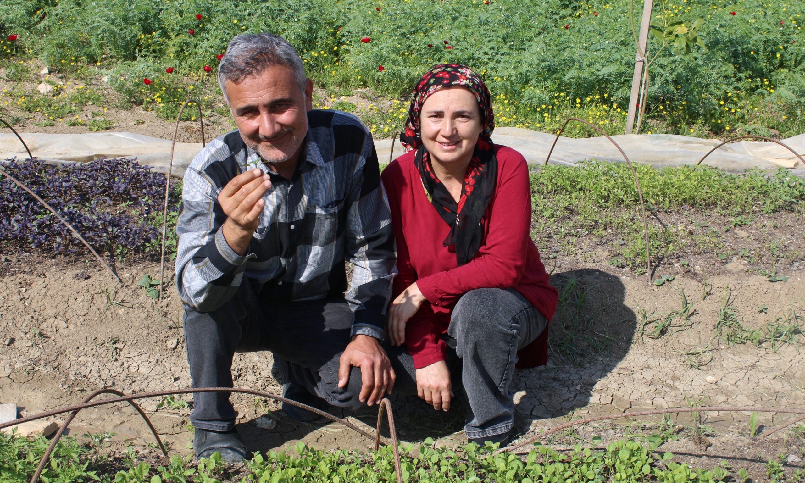 Boer Hakan Pul Biber