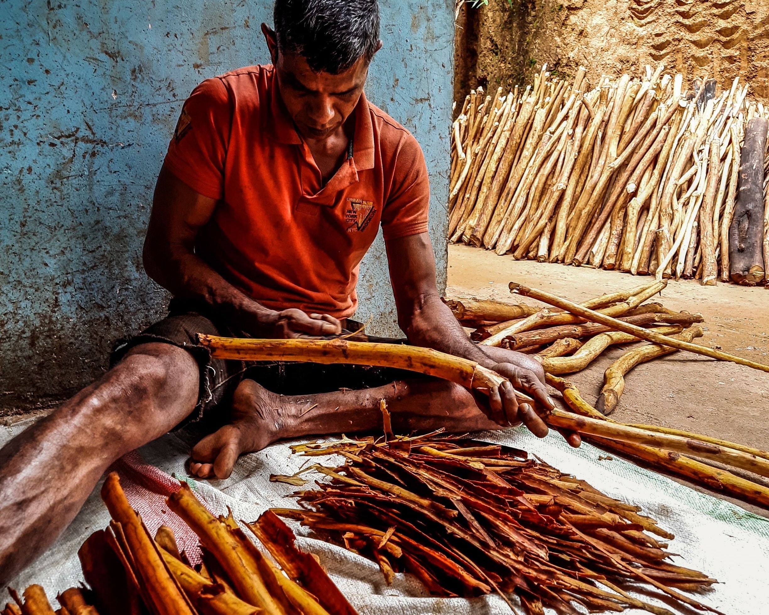 Een update: hoe gaat het nu eigenlijk in Sri Lanka?