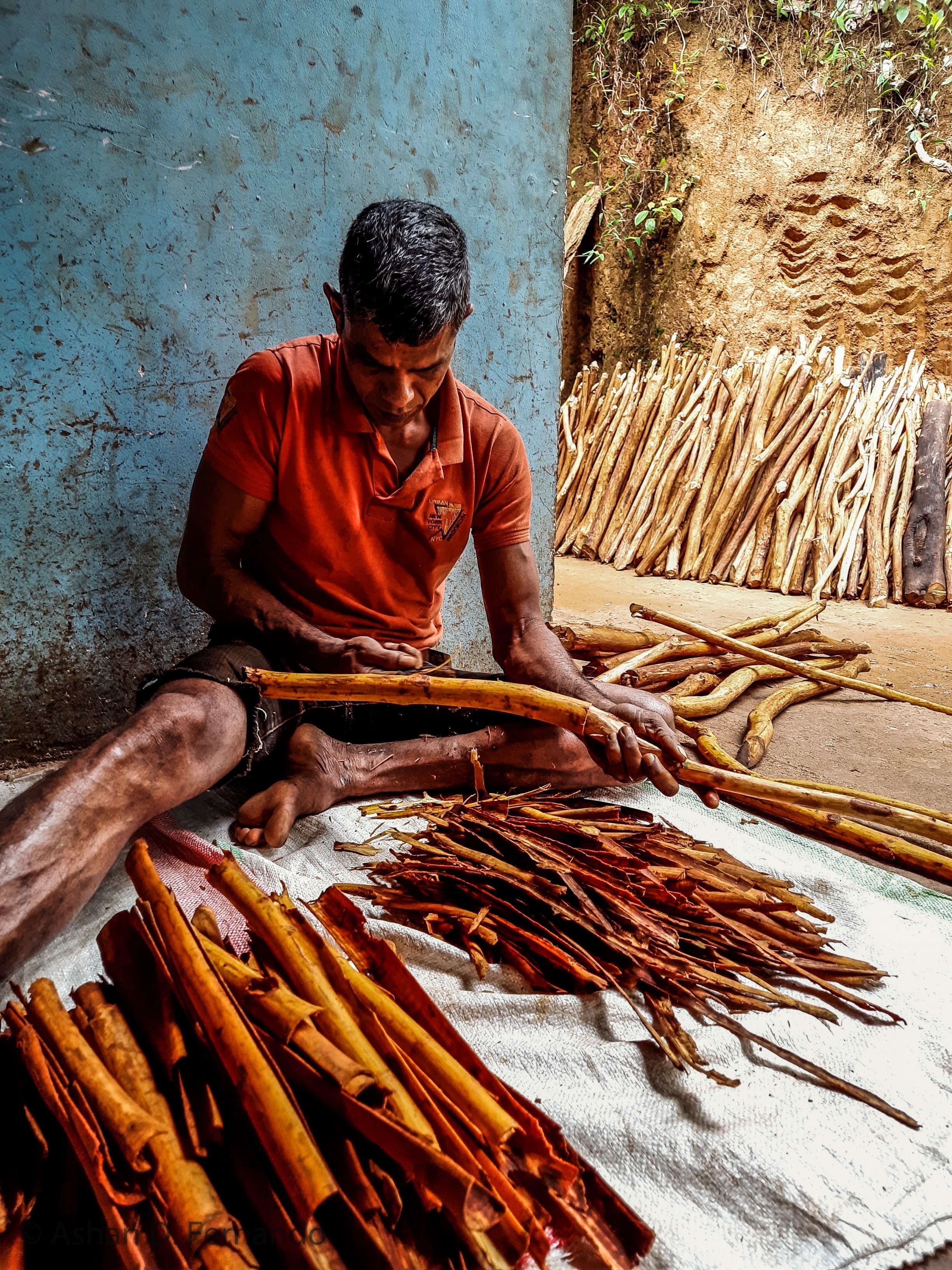 Een update: hoe gaat het nu eigenlijk in Sri Lanka?