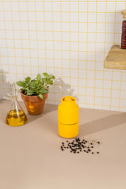 Specerijenmolen | Pepermolen