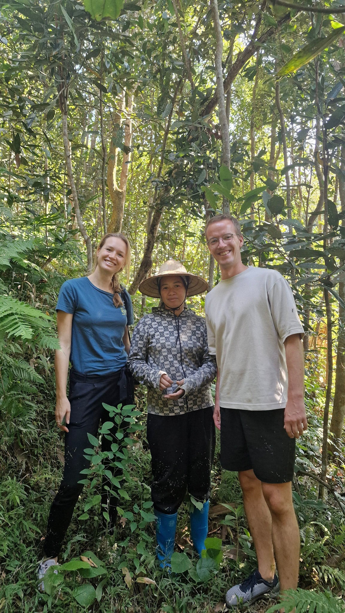Kaneel vlokken | Cao Bang Cassia Cinnamon