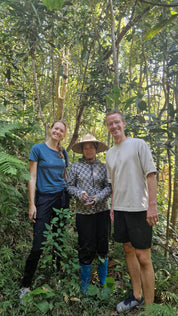 Kaneel vlokken | Cao Bang Cassia Cinnamon