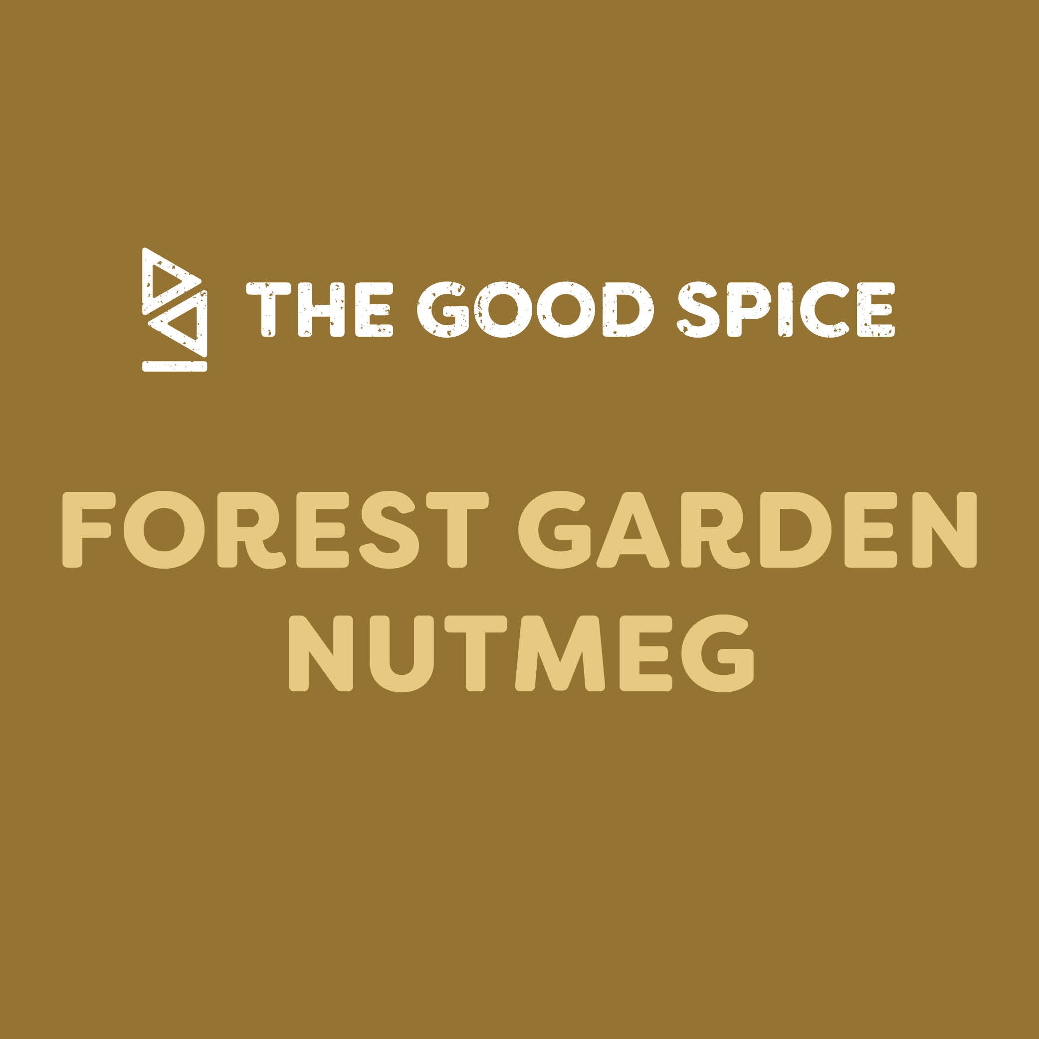 Nutmeg | Forest Garden Nutmeg