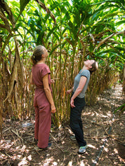 Kardemompeulen | Green Forest Cardamom