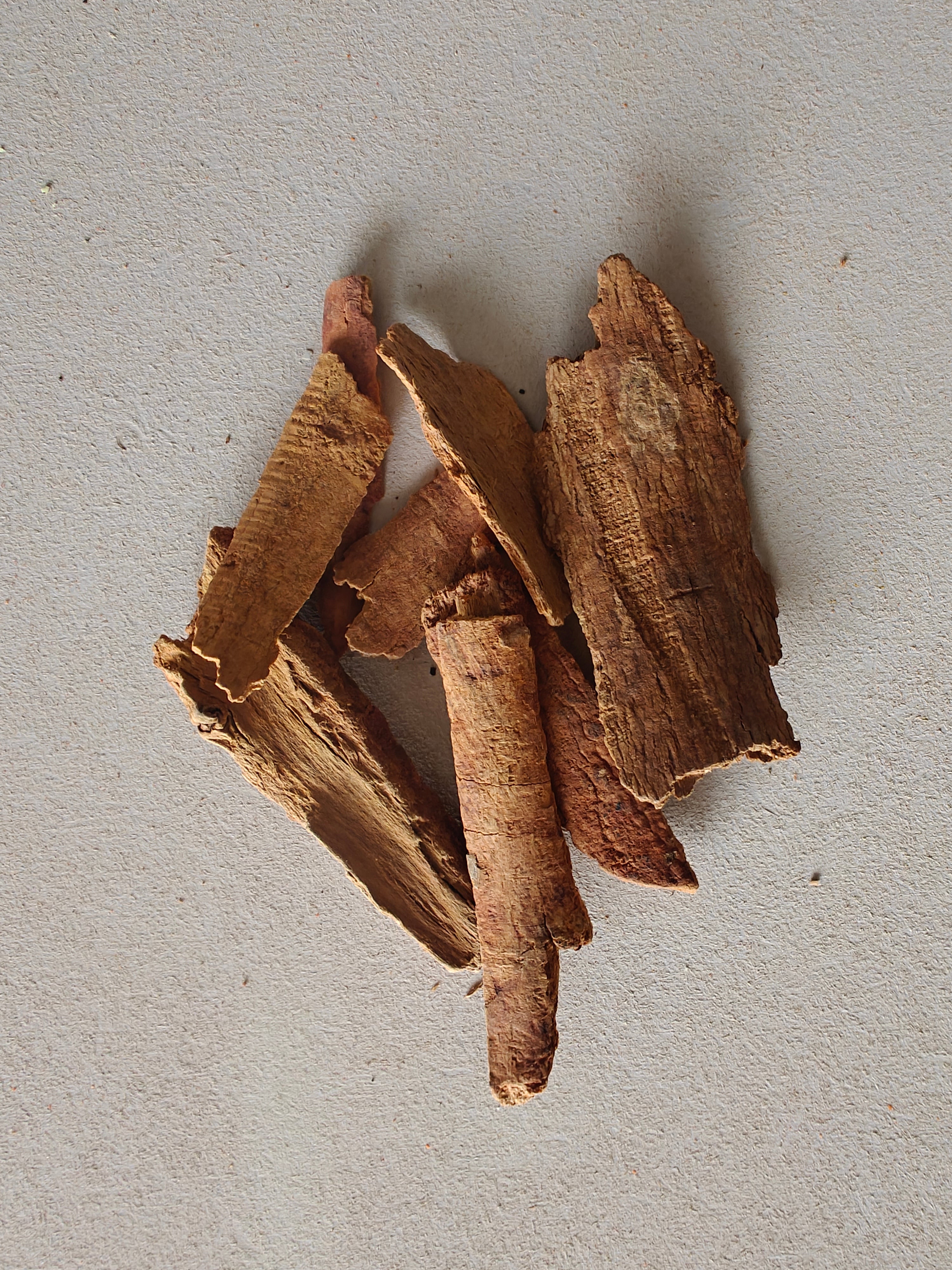 Wild Ceylon Cinnamon Sticks - 2023
