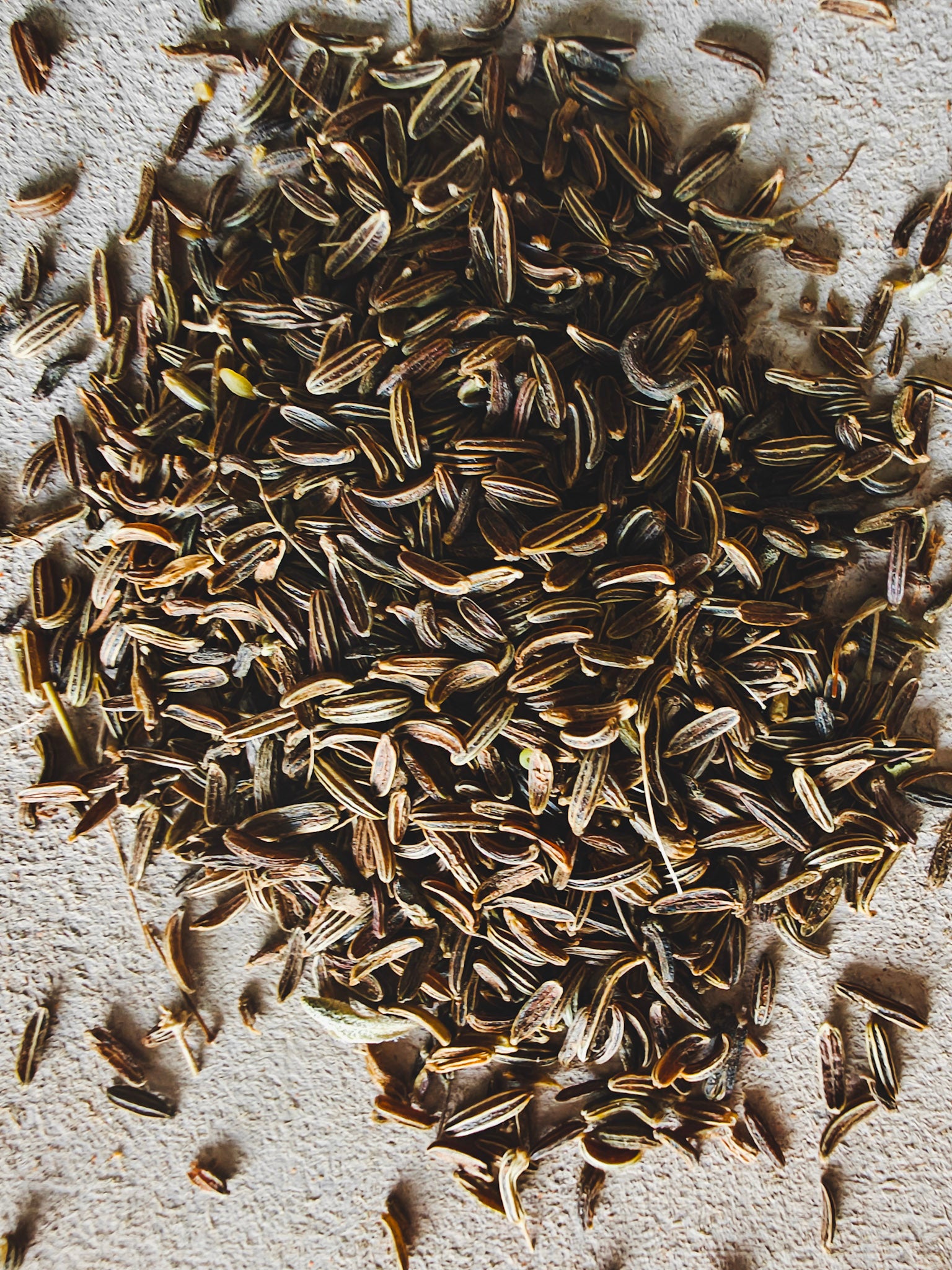 Zwart komijnzaad | Hindu Kush Black Cumin
