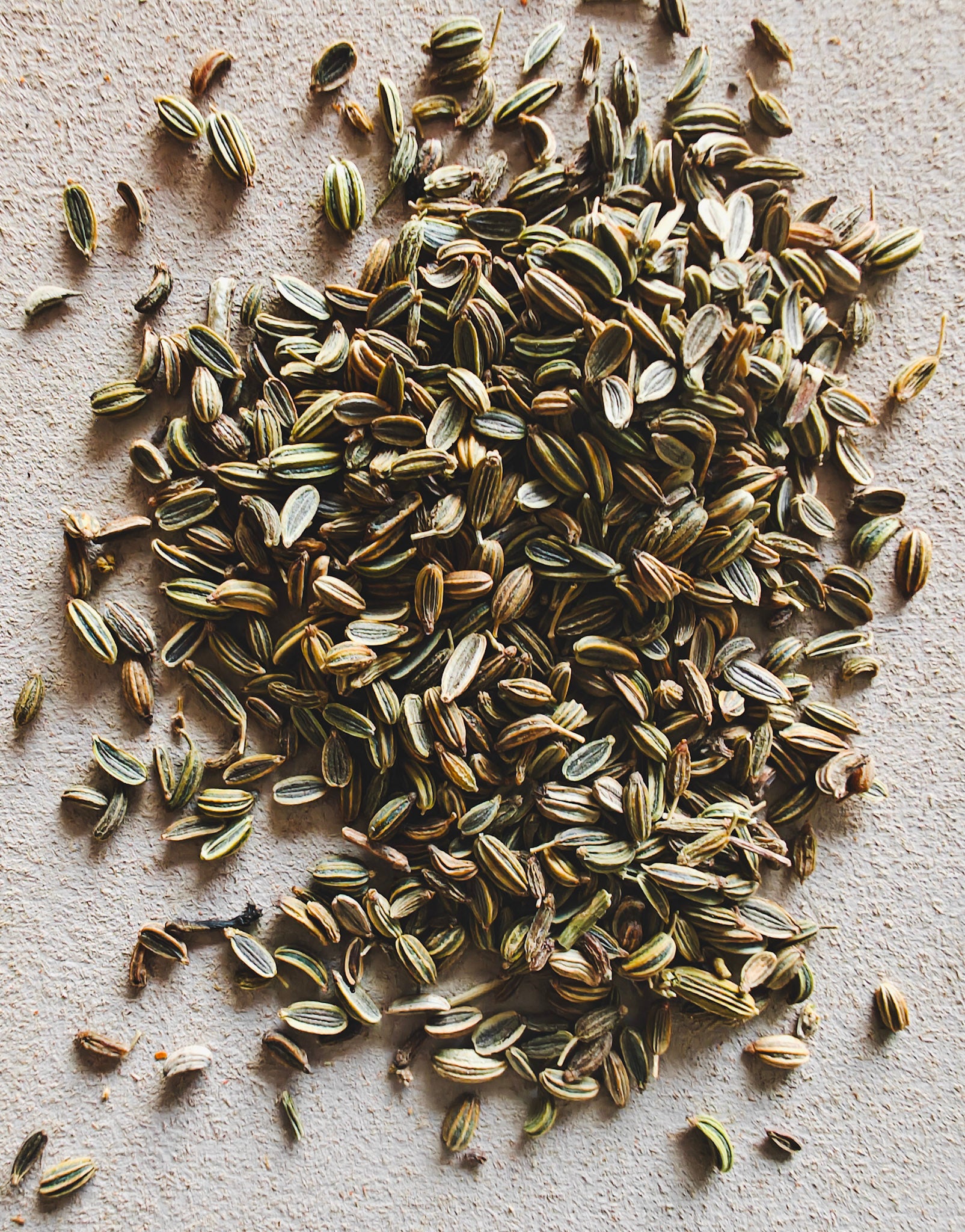 Wild venkelzaad | Sirocco Wild Fennel