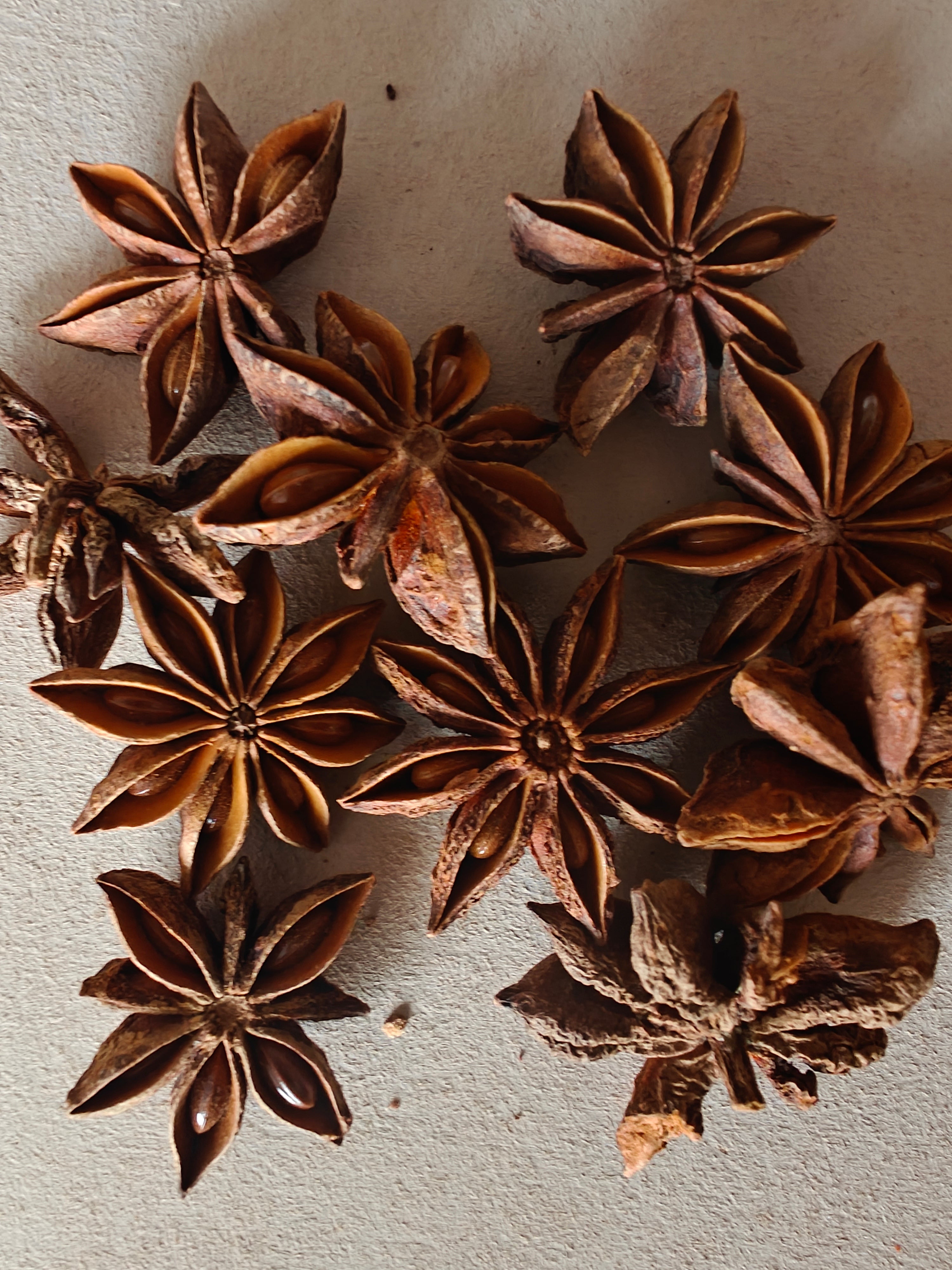 Steranijs | Lucky Star Anise
