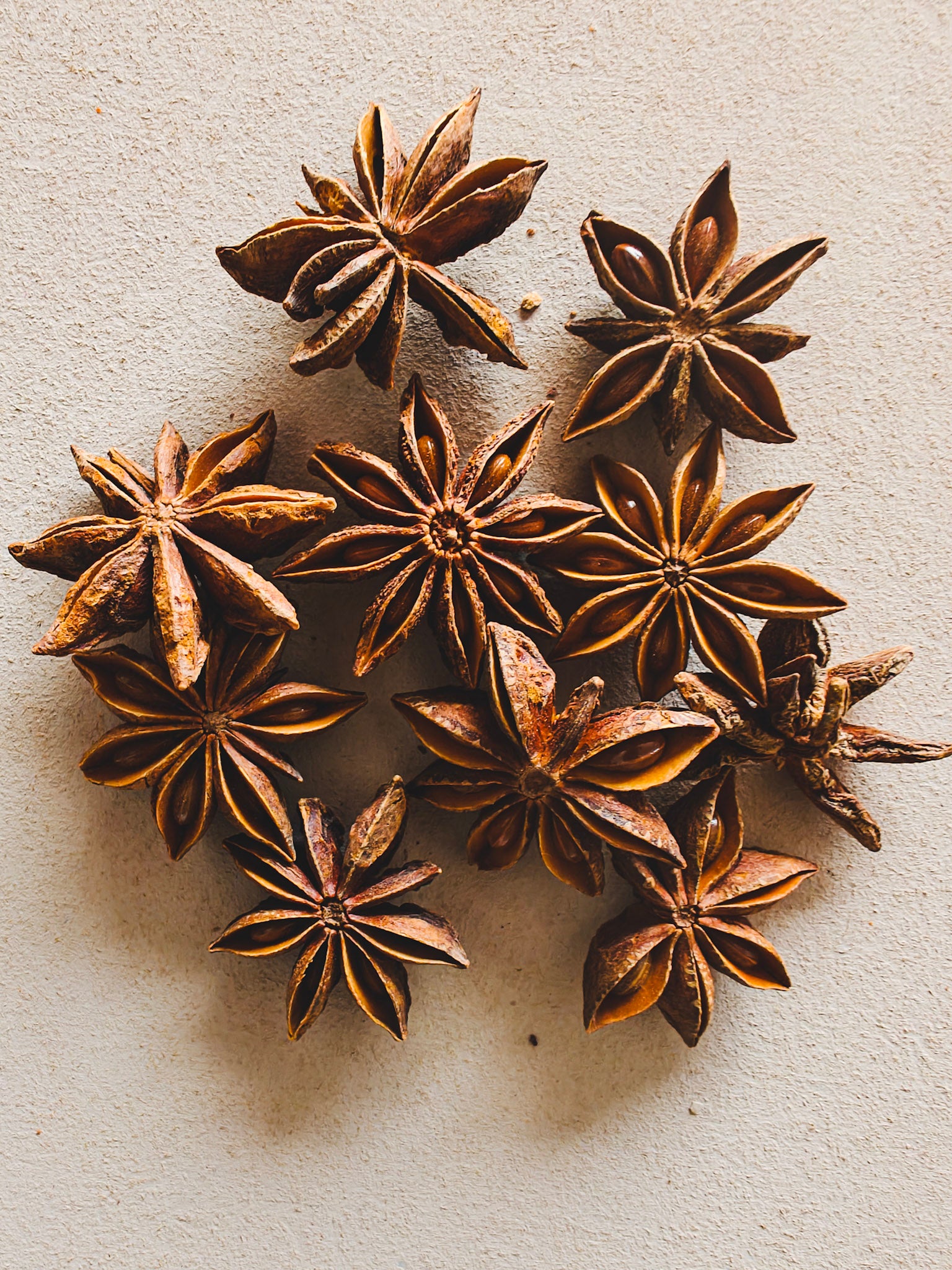 Lucky Star Anise - 2025