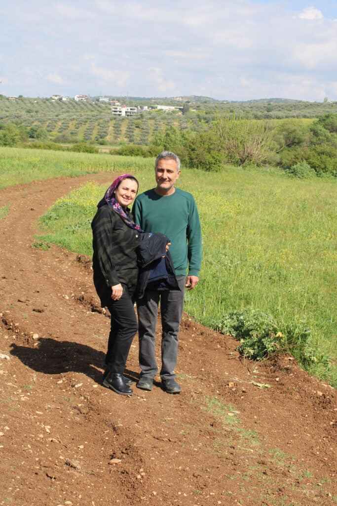 Sumak gemalen | Foraged Sumac