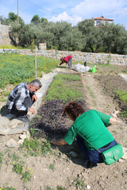 Chili grof gemalen | Hatay Chili
