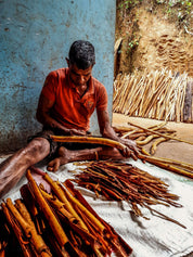 Kaneelpoeder | Wild Ceylon Cinnamon