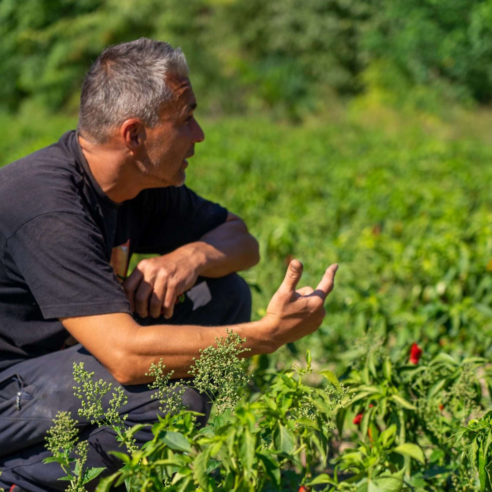 Paprikaboer The Good Spice