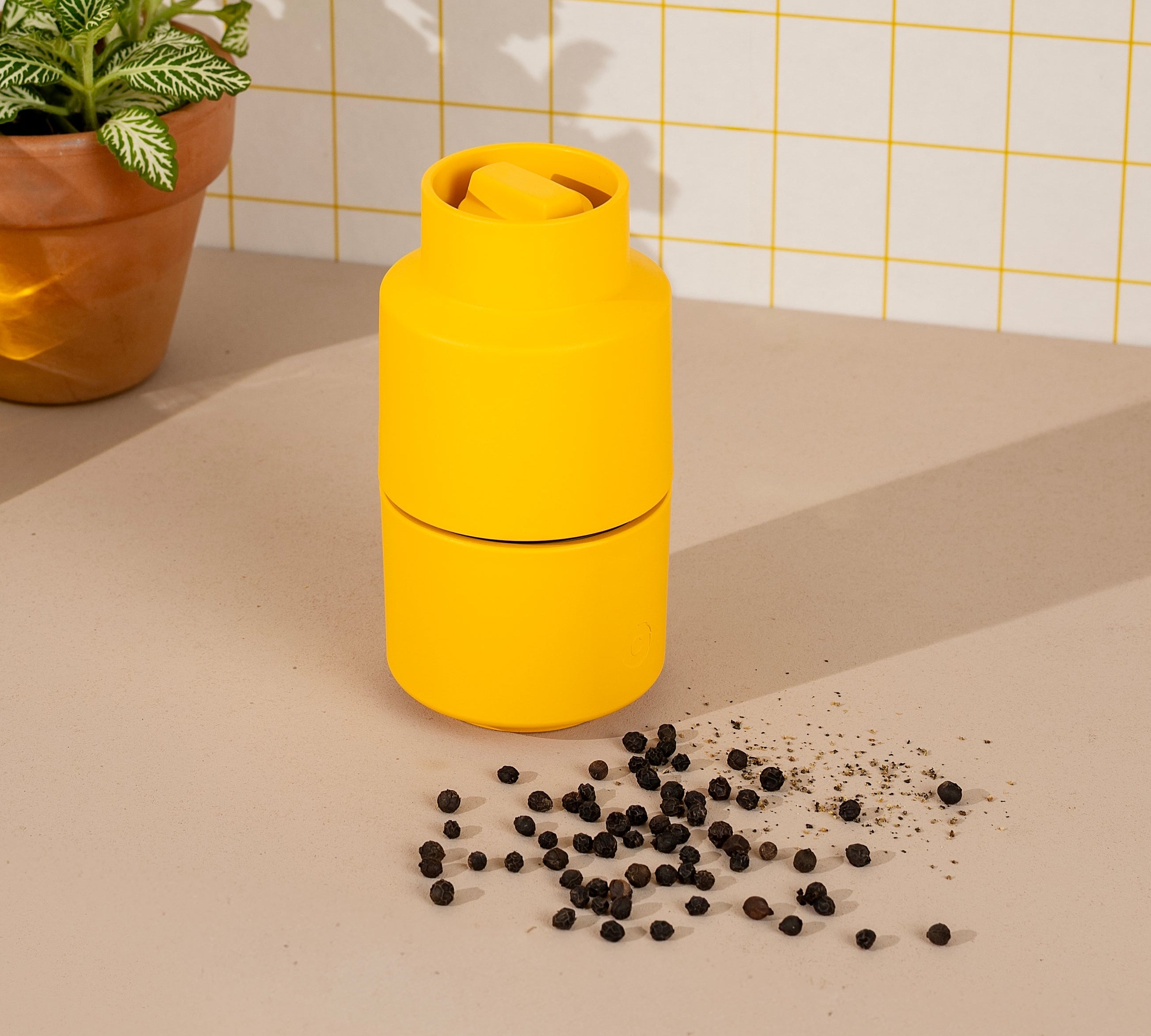 Spice Grinder Masala