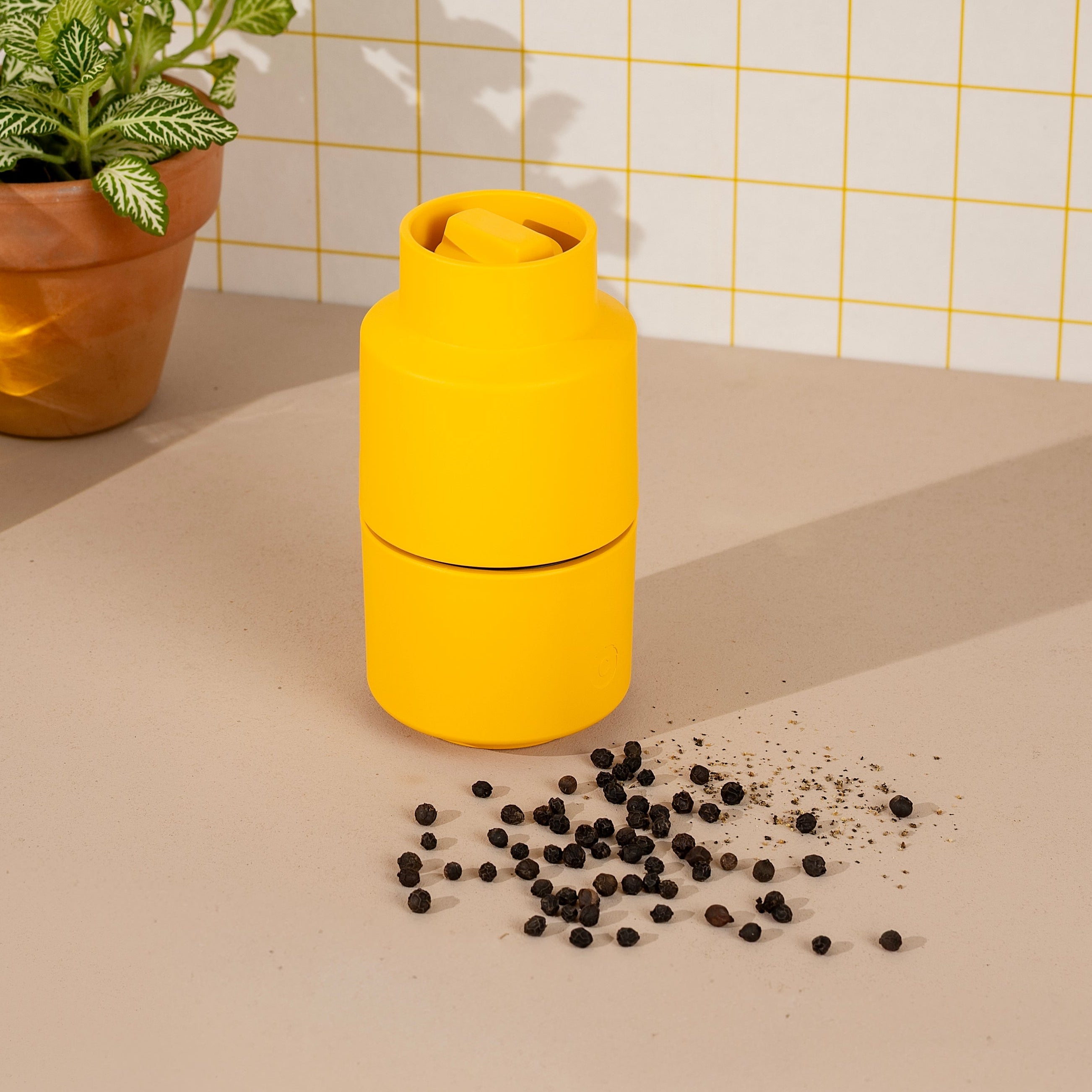 Spice Grinder Masala