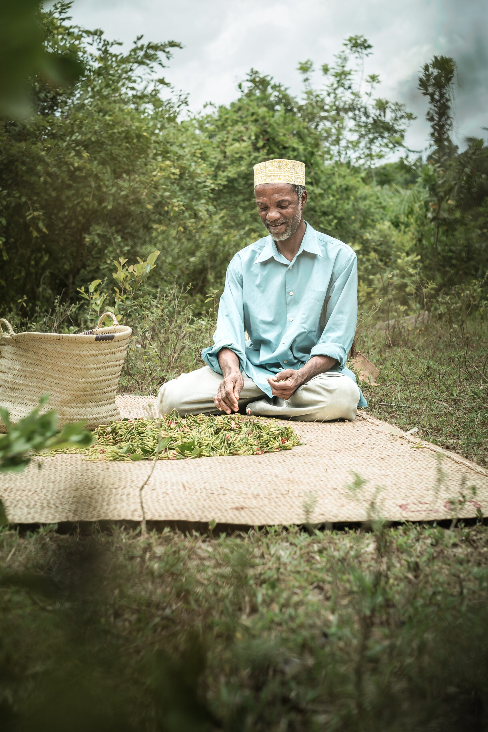 Kruidnagel | Zanzibar Cloves