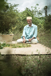 Kruidnagel | Zanzibar Cloves