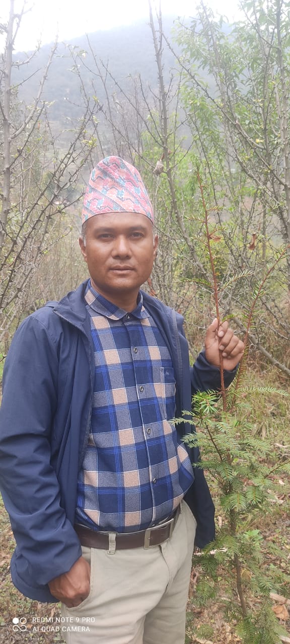 Himalaya Sichuan Peper