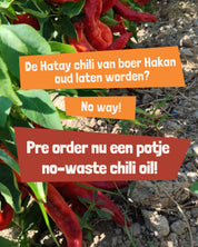 Chili Olie - Pre-order!