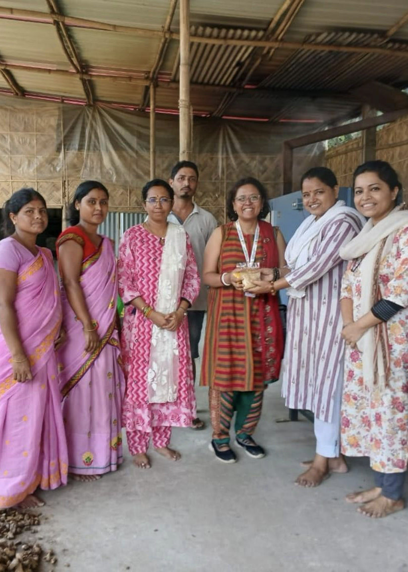 Gemberpoeder | Hill Ginger