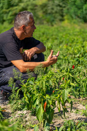 Paprikapoeder | Riverside Sweet Paprika