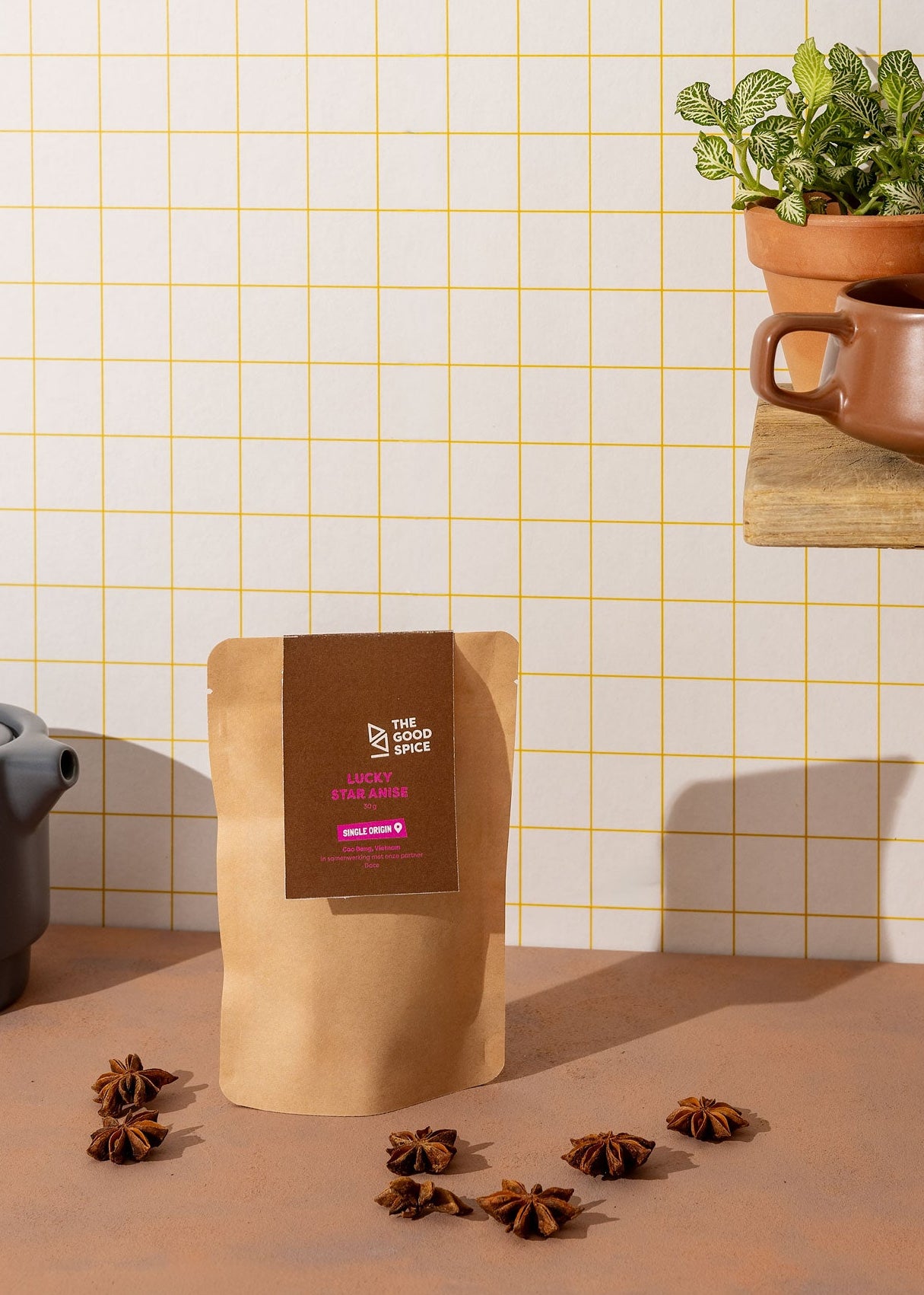 Steranijs | Lucky Star Anise